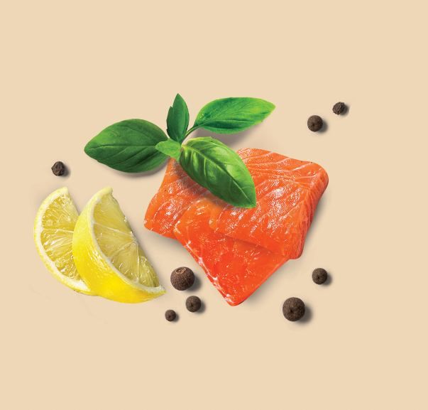 New range of Salmon products